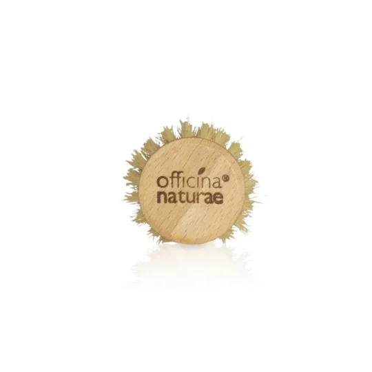 Spazzola per Piatti L’alternativa ecologica alla spugna per piatti